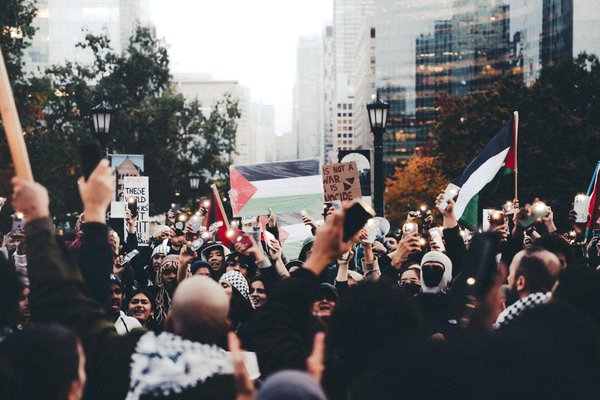 Découvrez la magie des petits nounours à habiller !